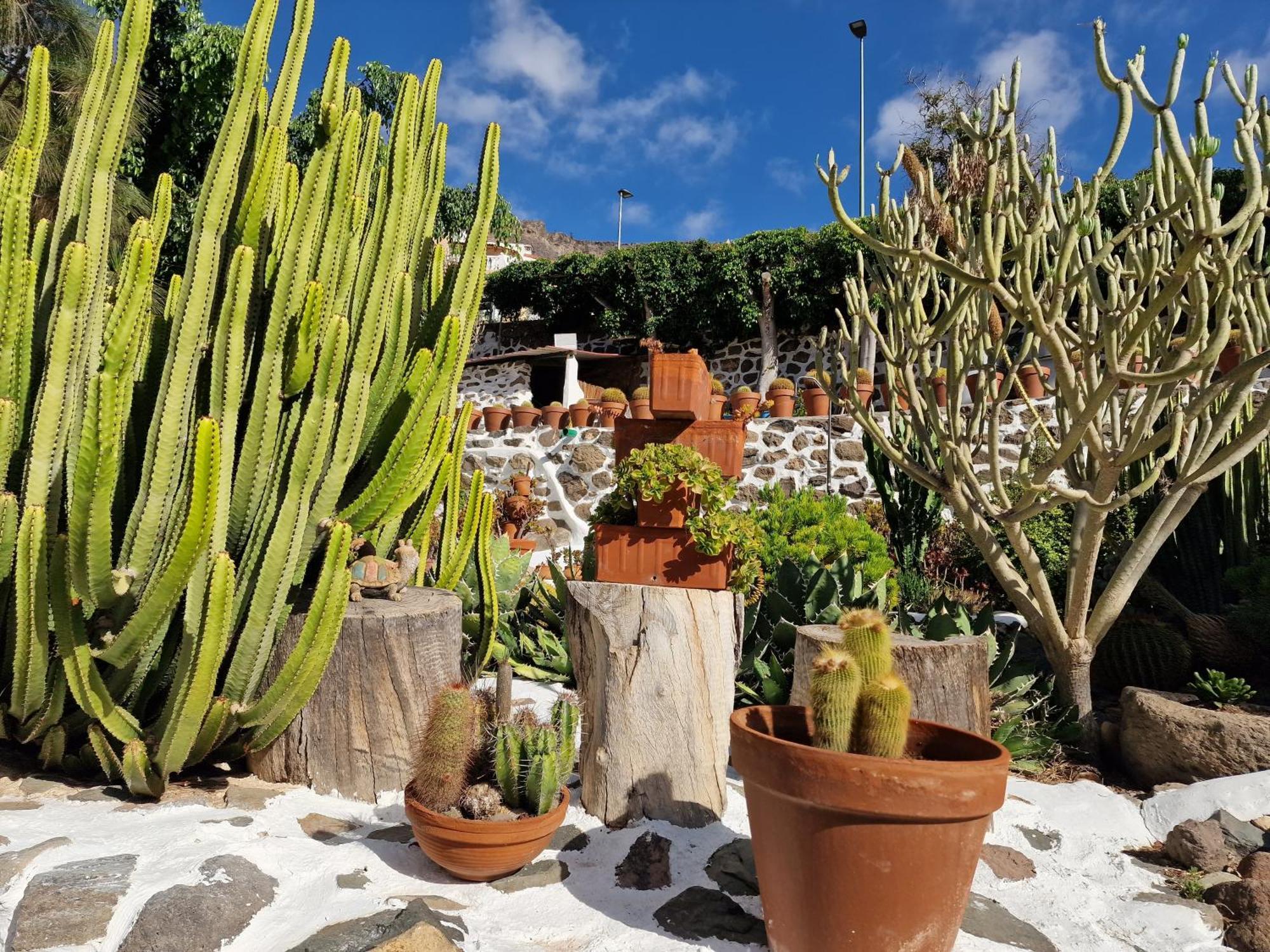 Historica Casa Con Vistas Al Jardin De Cactus Y Montanas Villa Mogán Exterior photo