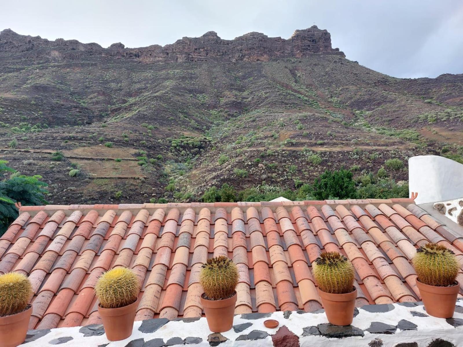 Historica Casa Con Vistas Al Jardin De Cactus Y Montanas Villa Mogán Exterior photo